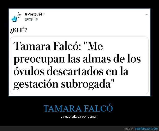 tamara falcó,almas,óvulos,gestación subrogada