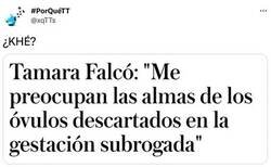 Enlace a Ya estamos todos