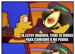 Enlace a Los aguacates van muy en serio