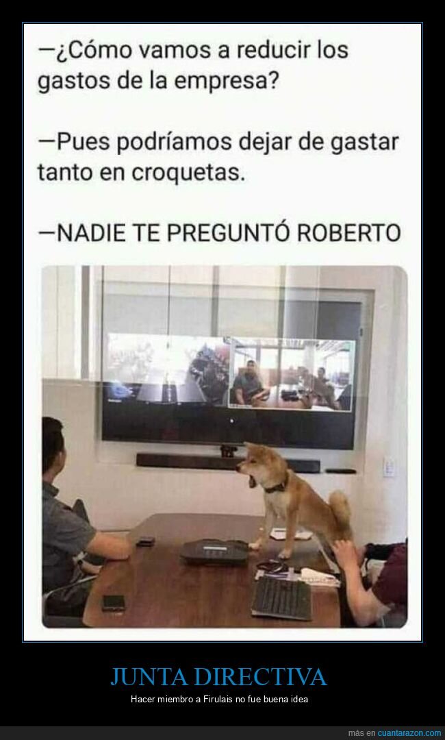 reducir gastos,empresa,croquetas,perro