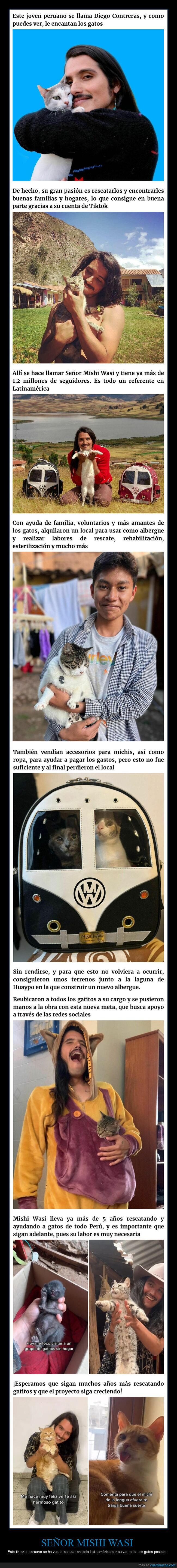 señor mishi wasi,gatos,salvar