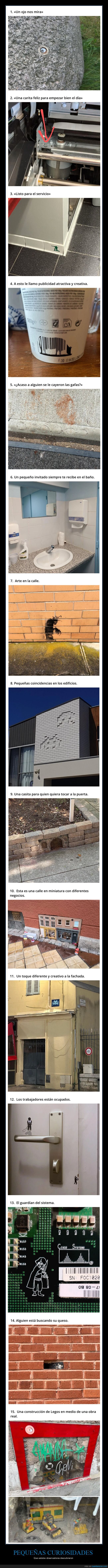 descubrimientos,curiosidades