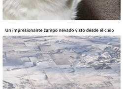 Enlace a Ilusiones ópticas que no podrás entender a la primera