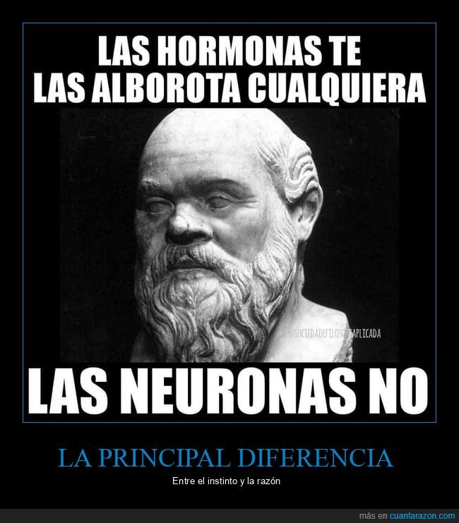 hormonas,alborotar,neuronas