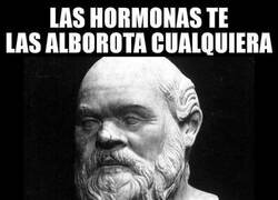 Enlace a Hormonas VS Neuronas