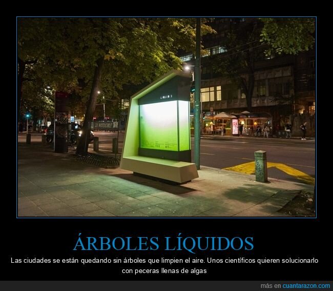 ciudades,árboles,limpiar,aire,peceras,algas