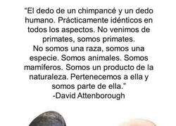 Enlace a Pequeño recordatorio