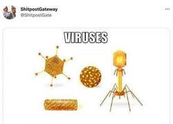 Enlace a Buscar analogías es su pasión