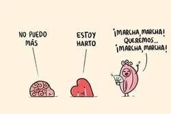 Enlace a Cuando tu cerebro y tu corazón no pueden más pero...