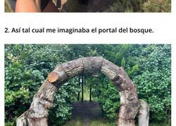 Enlace a Pruebas de que un paseo en el bosque puede ser extraordinario