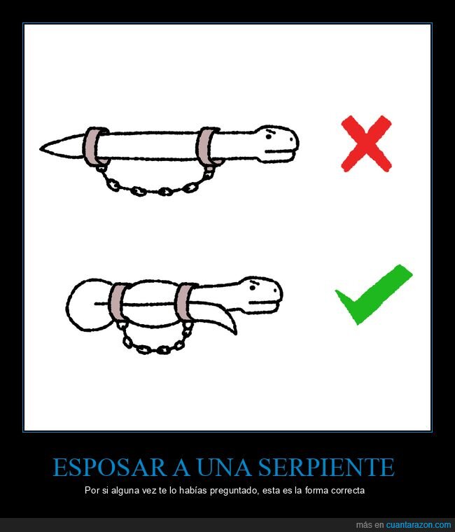 esposar,serpiente