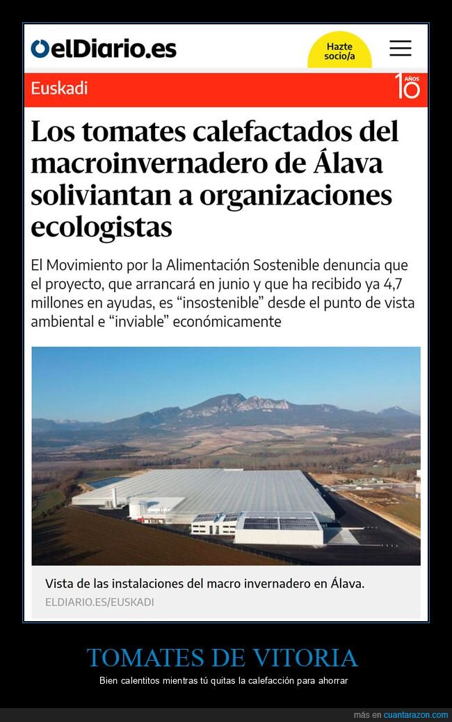 tomates,calefactados,invernadero