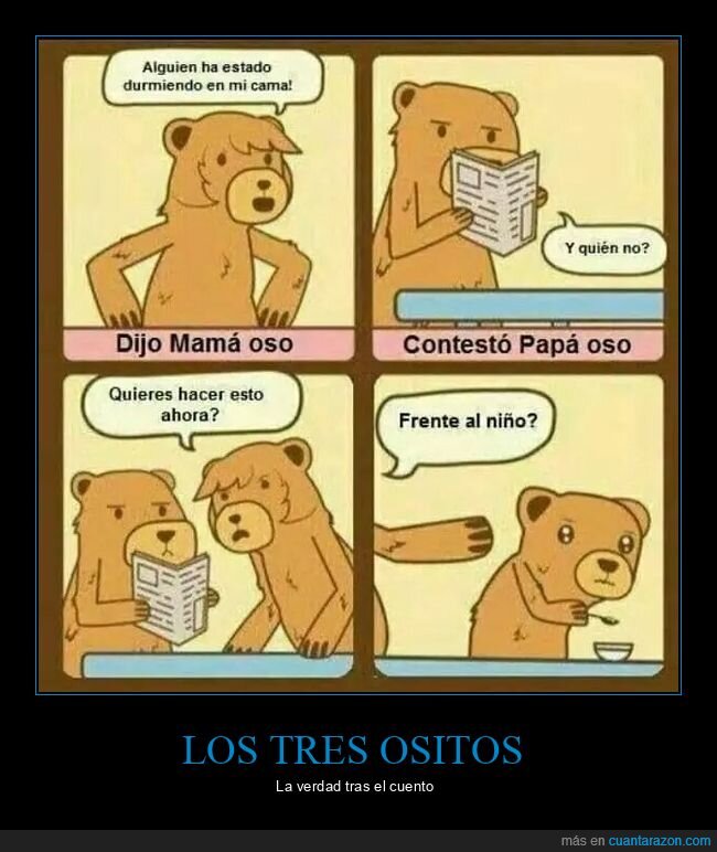 cama,dormir,osos