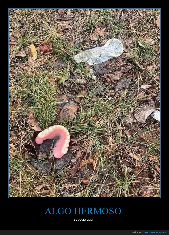 condón,dentadura,wtf