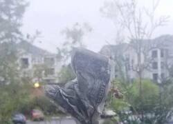 Enlace a Araña ahorradora