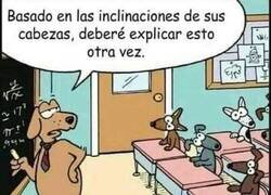Enlace a Clase confundida