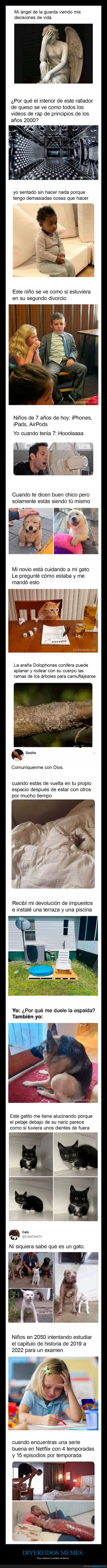 memes,ánimo
