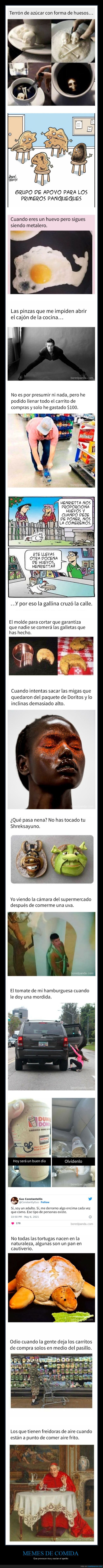 memes,comida