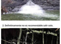 Enlace a Increíbles descubrimientos que fueron encontrados en el bosque