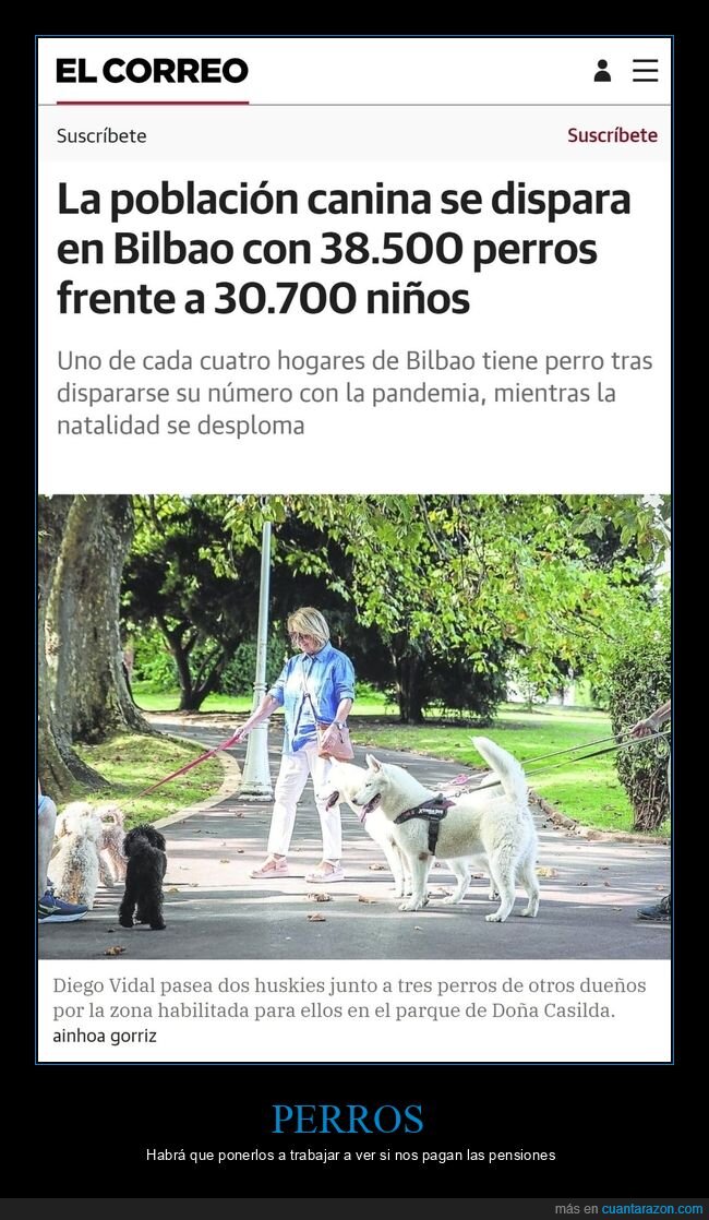 perros,bilbao,niños