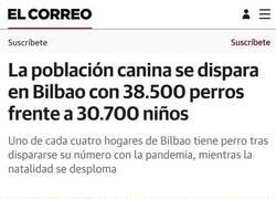 Enlace a Más perros que niños