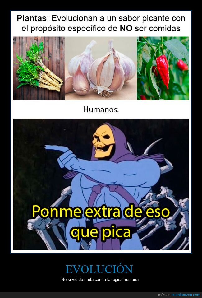 plantas,evolución,picantes
