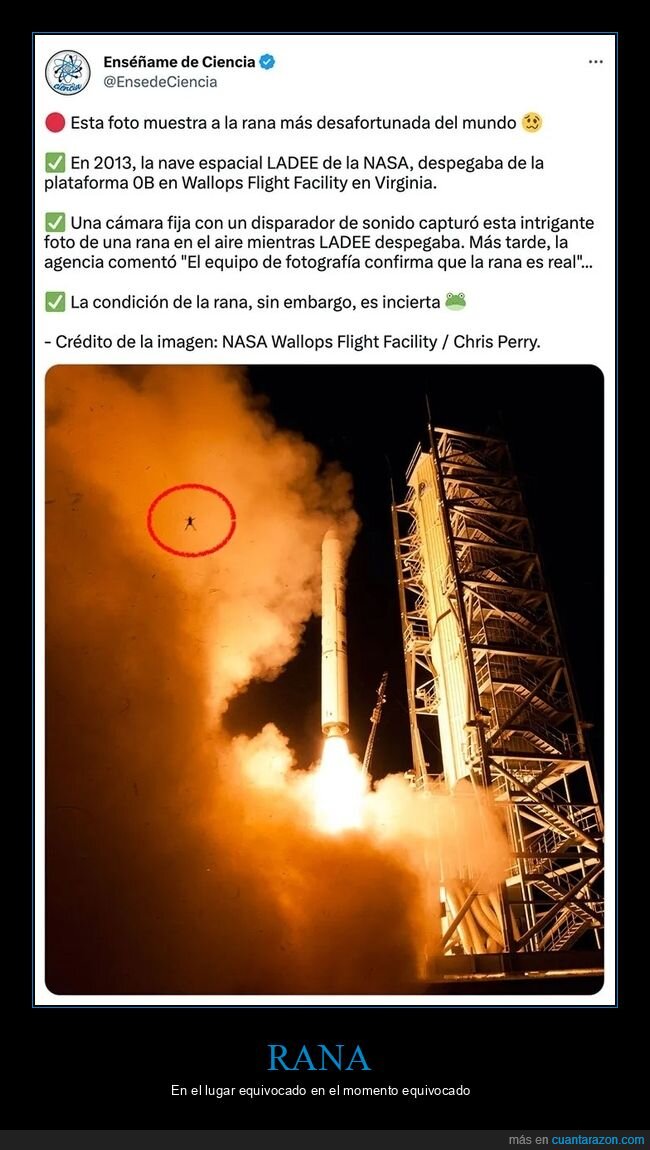 cohete,curiosidades,fails,nasa,rana