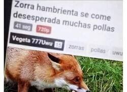 Enlace a Técnicamente cierto