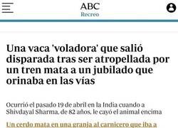 Enlace a Cosas que pasan en la India