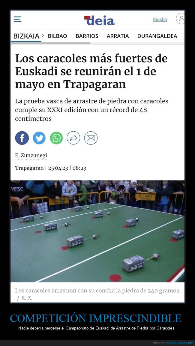 campeonato,arrastre de piedra por caracoles