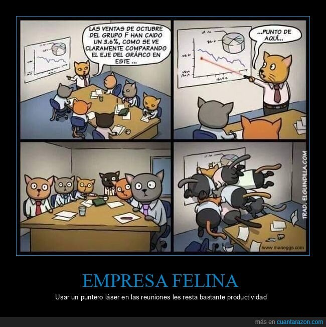 empresa,gatos,puntero láser