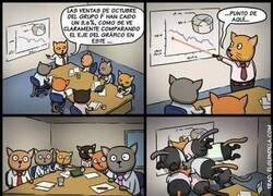 Enlace a Problemas de empresas felinas