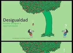 Enlace a Diferencias entre desigualdad, igualdad, equidad y justicia