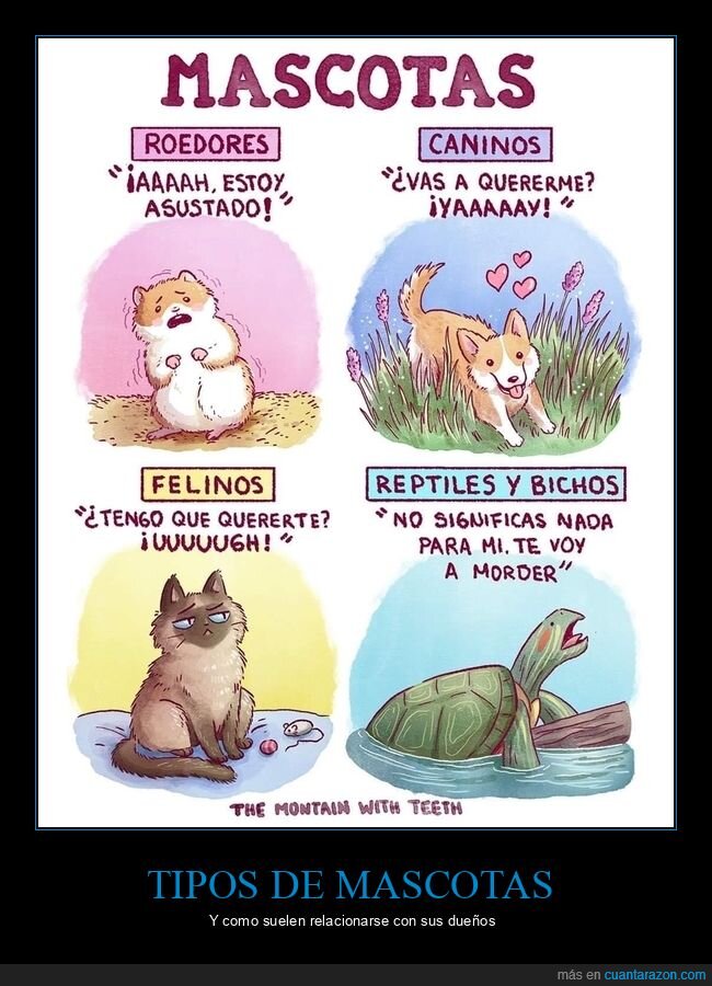 mascotas,roedores,caninos,felinos,reptiles,bichos