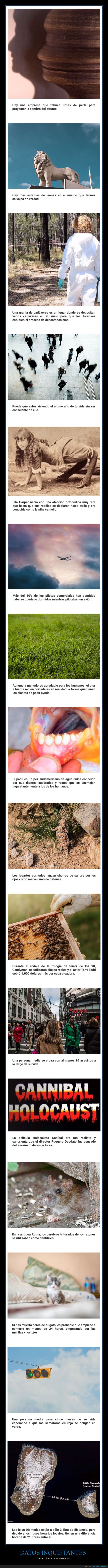 datos inquietantes,curiosidades