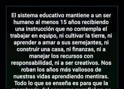 Enlace a Educación defectuosa