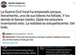 Enlace a Las Guerras Incel han comenzado