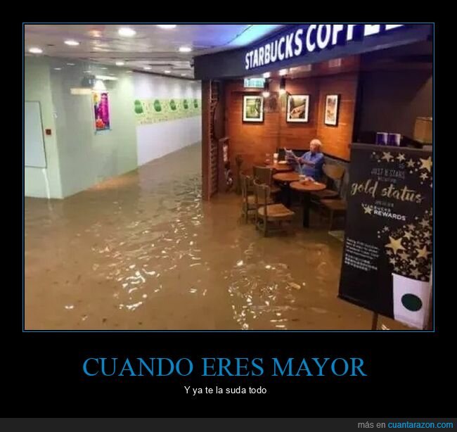 inundación,starbucks,wtf