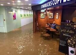 Enlace a La inundación no va con él