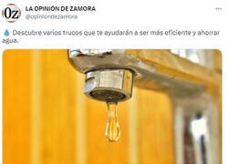 Enlace a Mientras tú tratas de ahorrar agua...