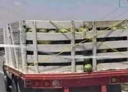 Enlace a Una batalla perdida