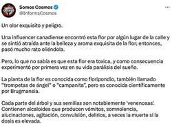 Enlace a Olor peligroso