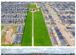 Enlace a De ahí no los mueven