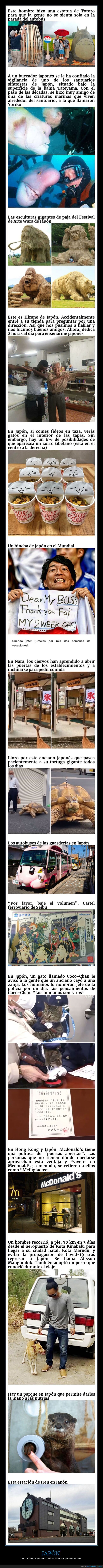 japón,curiosidades