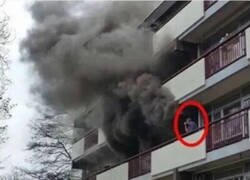 Enlace a Disfrutando del incendio