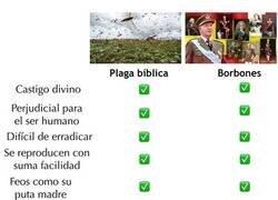 Enlace a Cumplen todos los requisitos