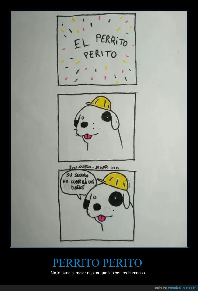 perrito,perito,perro