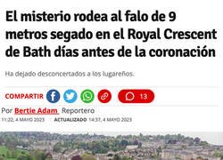 Enlace a Aparición misteriosa