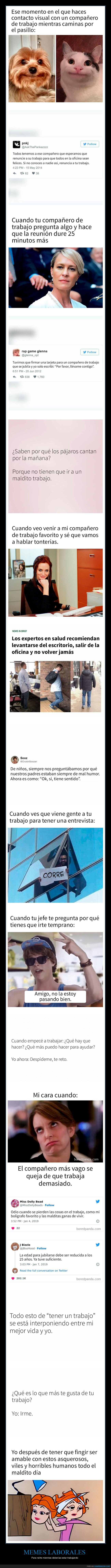 memes,laborales,trabajo