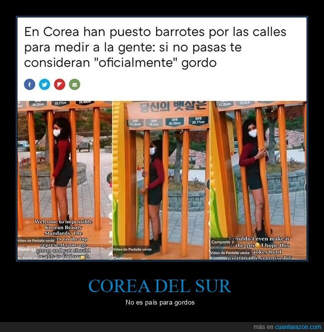 barrotes,corea del sur,gordos